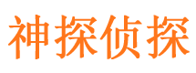 龙湖外遇调查取证